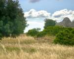 landscape with trulli