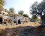 Landscape with a rock settlement