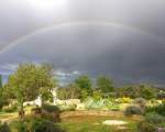 Giardini di Marzo - rainbow